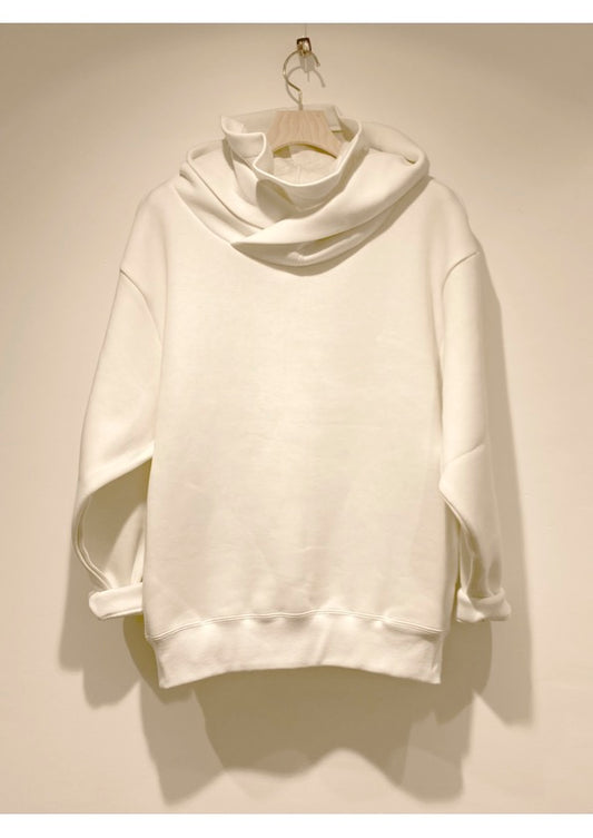 Hoodie PO Cardboard